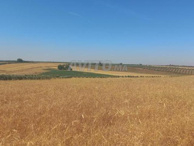1 hectare et 2500m² opportunité