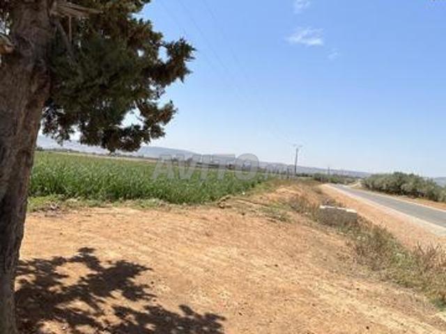 1 hectare et demi à vendre