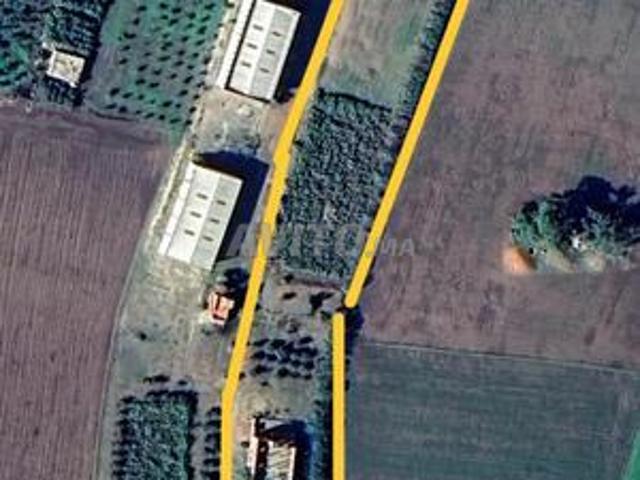 1 hectare lahsasna