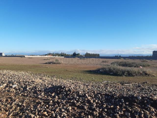 1 hectare route de tahnaoute