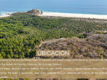 1 HECTAREA EN PLAYA EL VENADO, OAXACA