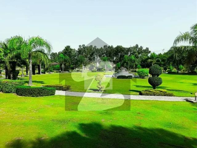 1 Kanal Main Road Open Face Good Location Possession Plot