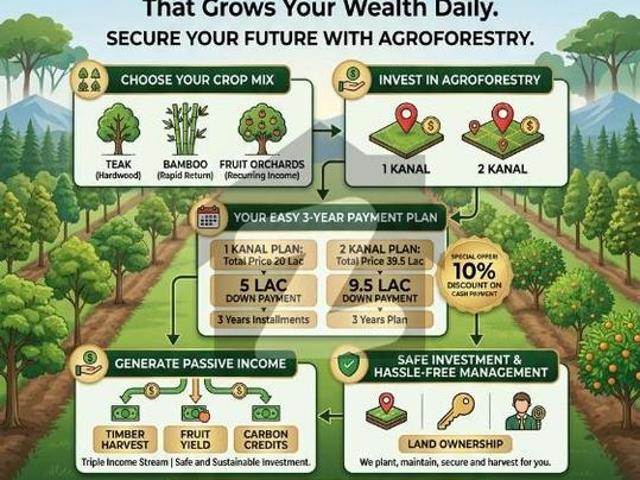 1 Kanal Agroforestry Land For Sale Kasur
