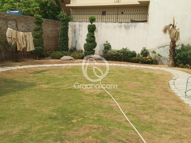1 Kanal House for Rent