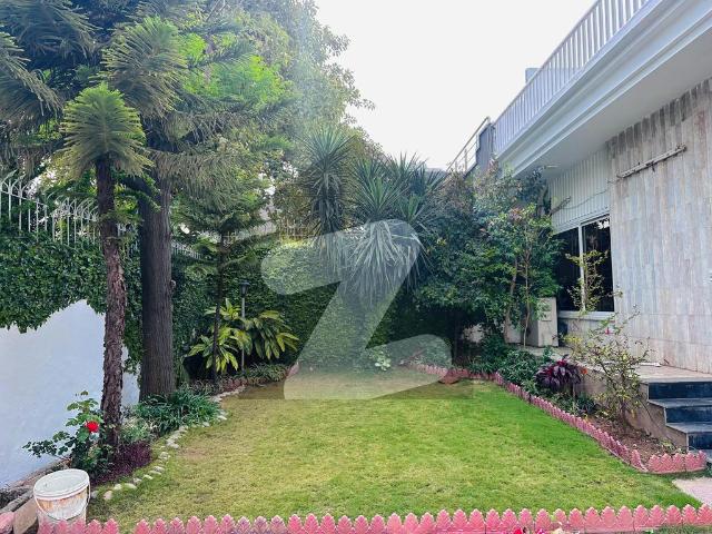 1 Kanal Luxury House for Rent F 10 Islamabad F 10/1