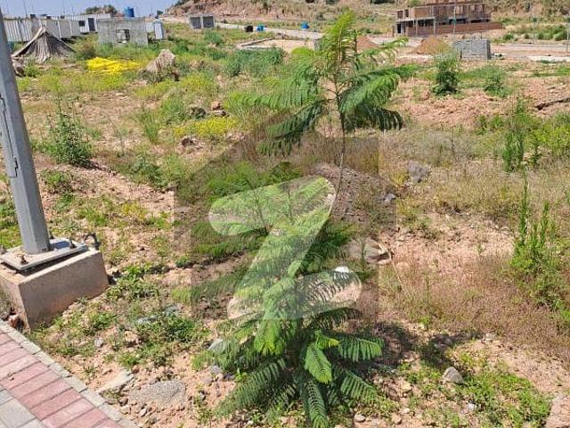 1 Kanal Level Good Location Plot Is Available For Sale in the Most Reasonable Price