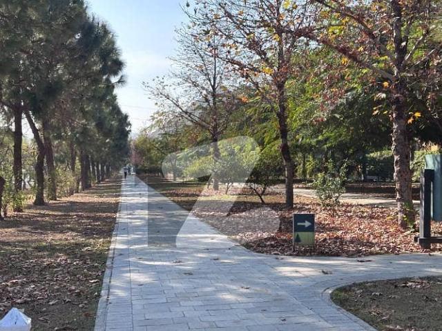 1 Kanal Pair Plot On Plaza Avenue Of Sector G
