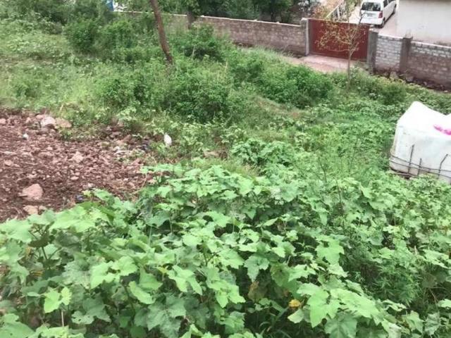 1 KANAL PLOT complete compact piece available in UPPER CHATTER WARD2 Muzaffarabad ID 23652