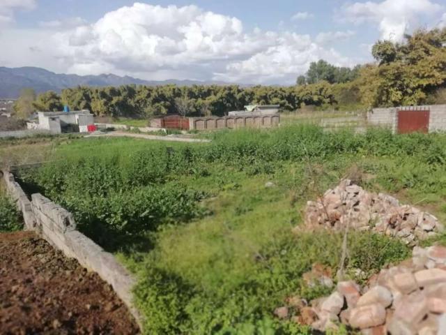 1 kanal plot Akram street, Banigala Islamabad Bani Gala ID 06619