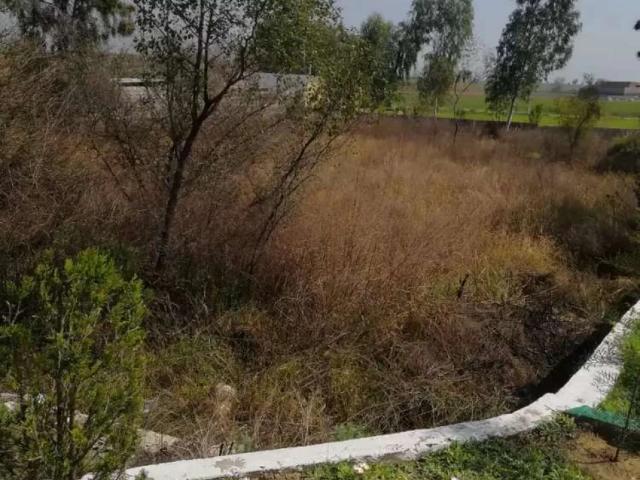 1 kanal Plot in Fatehjang Islamabad Eighteen ID 03506