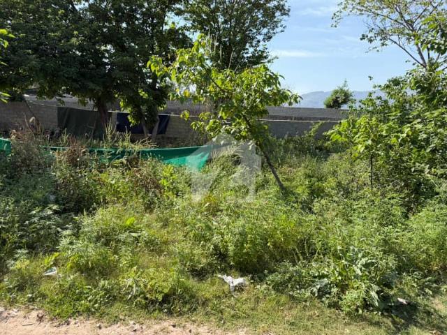 1 Kanal Prime Location Plot For Sale