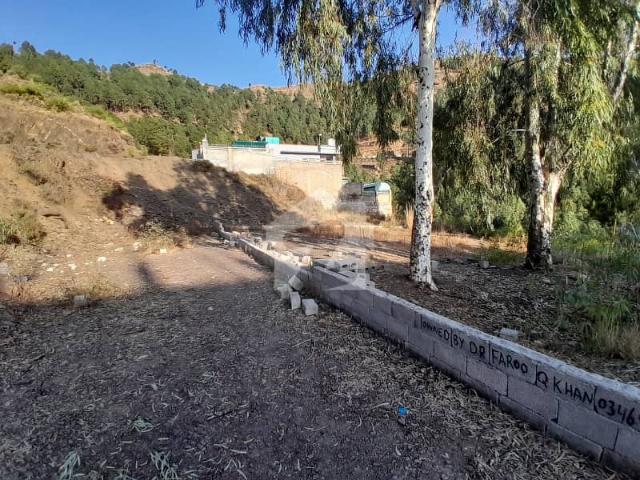 1 Kanal South Open Plot For Sale
