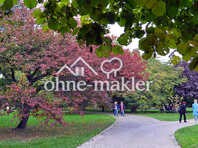 146 qm AB 01.02.26 frei, Hohe Decken, Toller Schnitt, Große Küche, Helles Wohnzimmer