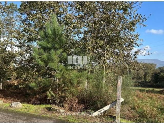 1 quarto, Valença Valença LS99984706
