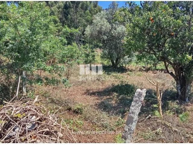 1 quarto, Valença Valença LS101568420