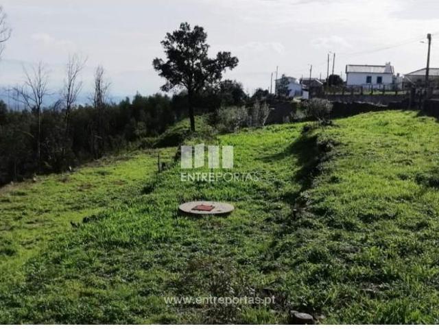 1 quarto, Viana do Castelo Viana do Castelo 104342764