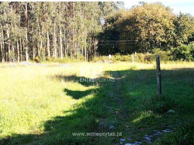 1 quarto, Viana do Castelo Viana do Castelo 104454666