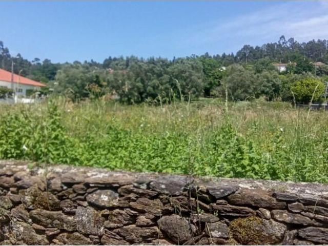 1 quarto, Viana do Castelo Viana do Castelo 102723258