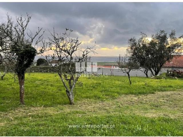 1 quarto, Viana do Castelo Viana do Castelo 97123337
