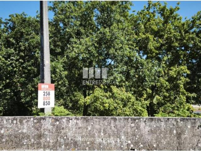 1 quarto, Viana do Castelo Viana do Castelo 98277463