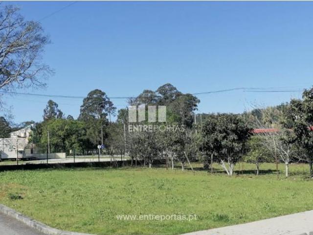 1 quarto, Viana do Castelo Viana do Castelo 98277465