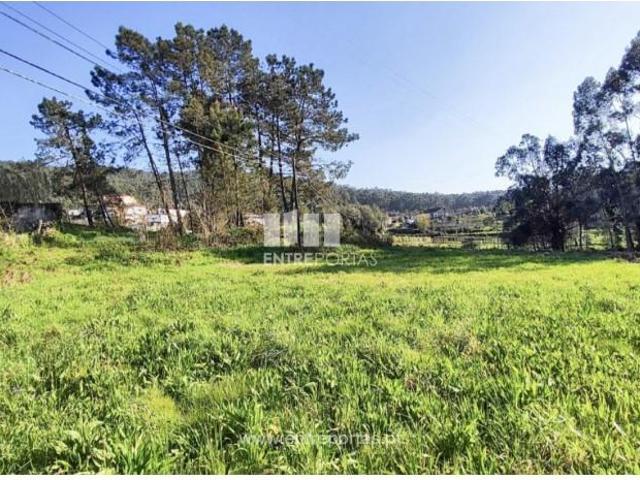 1 quarto, Viana do Castelo Viana do Castelo 99244975