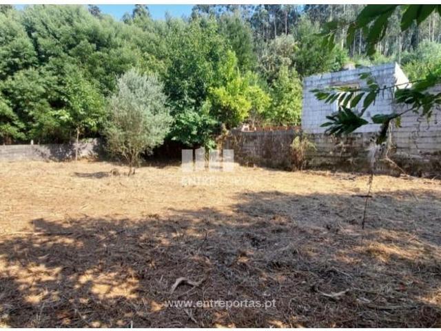 1 quarto, Viana do Castelo Viana do Castelo LS93946950