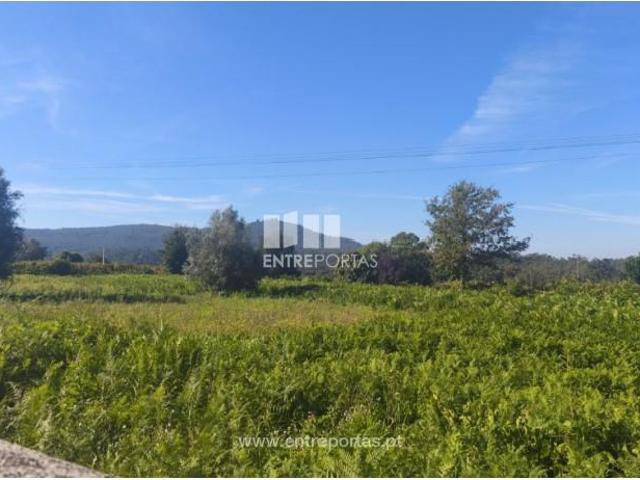 1 quarto, Viana do Castelo Viana do Castelo LS95147310