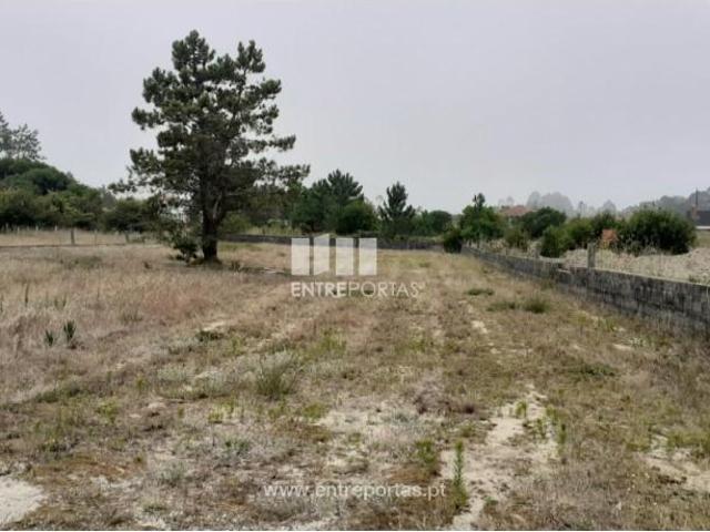 1 quarto, Viana do Castelo Viana do Castelo LS97123018