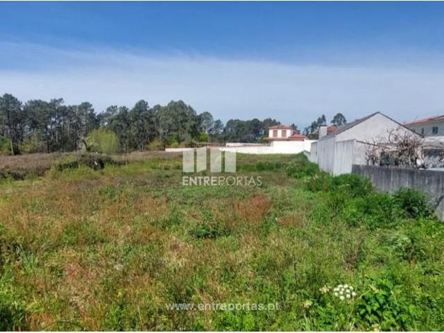 1 quarto, Viana do Castelo Viana do Castelo LS98374854