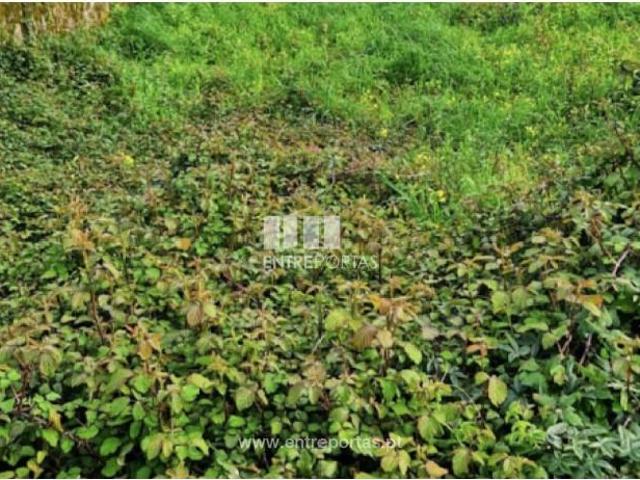 1 quarto, Viana do Castelo Viana do Castelo LS101623255