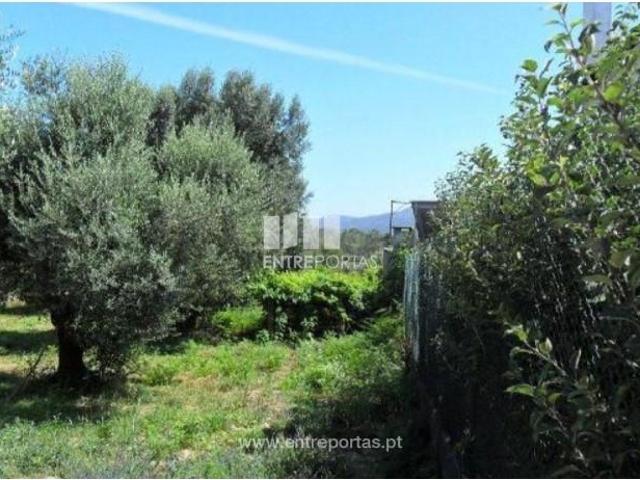 1 quarto, Viana do Castelo Viana do Castelo LS102934340