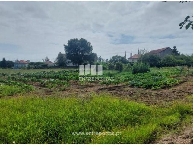 1 quarto, Viana do Castelo Viana do Castelo LS102267284