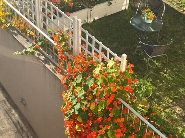 1 quarto, Vila Nova de Gaia Vila Nova de Gaia 4430 999 103799468
