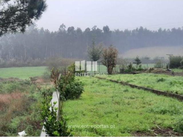 1 quarto, Vila do Conde Vila do Conde 103366309