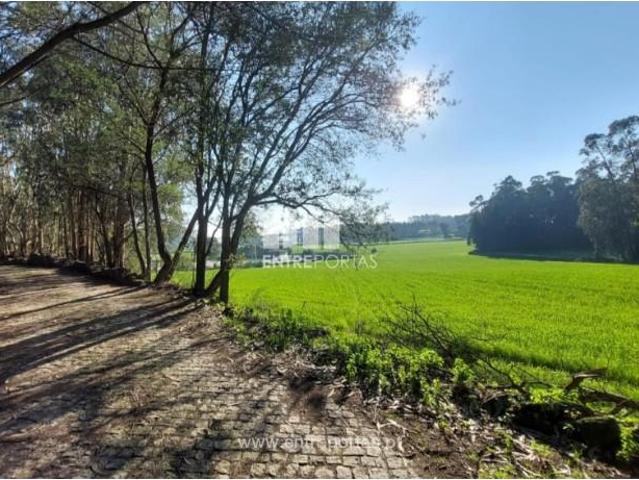 1 quarto, Vila do Conde Vila do Conde 98712709