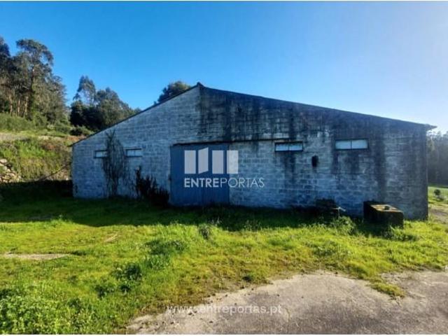 1 quarto, Vila do Conde Vila do Conde 98261210
