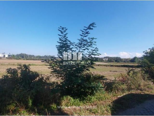 1 quarto, Vila do Conde Vila do Conde LS91046325