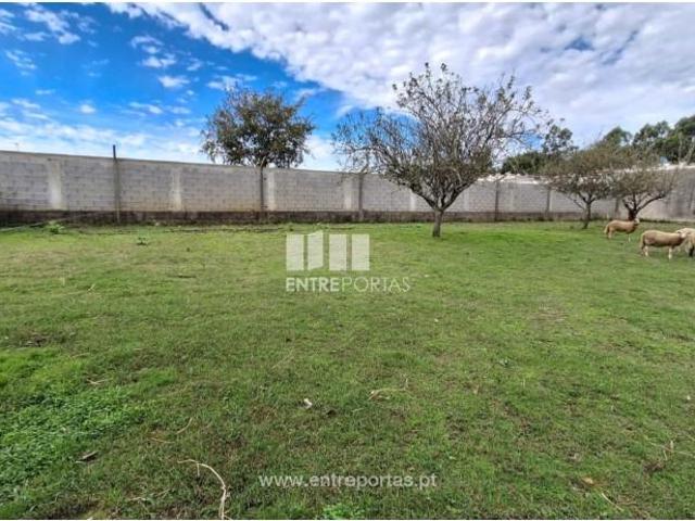 1 quarto, Vila do Conde Vila do Conde LS101702665