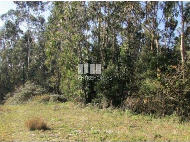 1 quarto, Vila do Conde Vila do Conde LS101784953