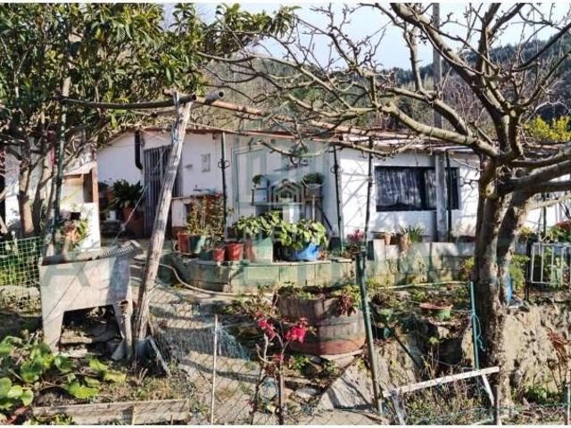 1 quarto, Vila Pouca de Aguiar Vila Pouca de Aguiar 97192178