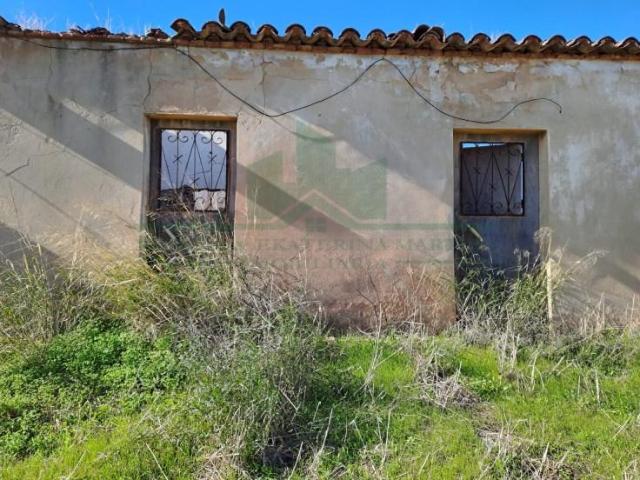 1 quarto, Vila Real de Santo António Vila Real de Santo António 96653527