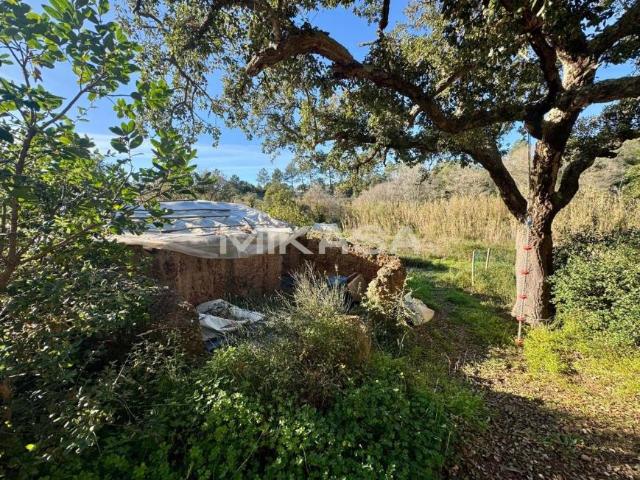 1 quarto, Aljezur Algarve 99694005