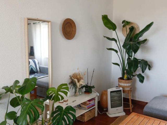 1 quarto, Aljezur Aljezur 99383170