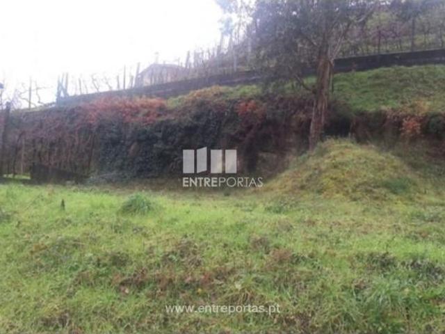 1 quarto, Amarante Amarante 103112494