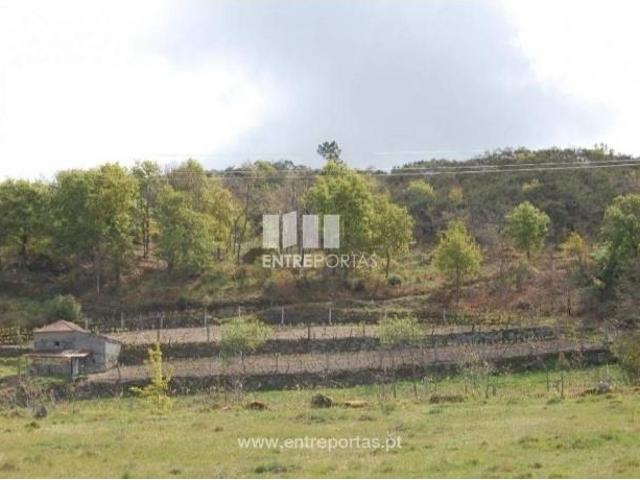 1 quarto, Amarante Amarante 103112751