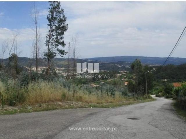 1 quarto, Amarante Amarante LS102647198