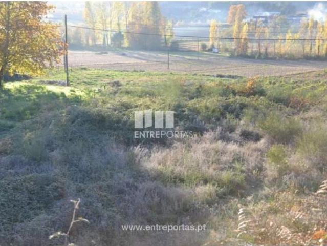 1 quarto, Amarante Amarante LS102686928