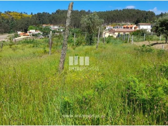 1 quarto, Amarante Amarante LS102802981