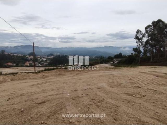 1 quarto, Amarante Amarante LS102811068